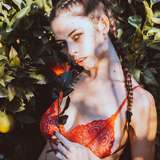 luof_20free