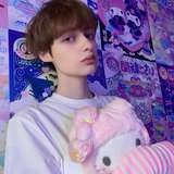 SylvanianBoy
