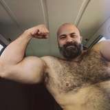 brbear