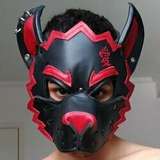 pupgaara