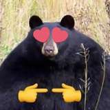 jawbreakerbear