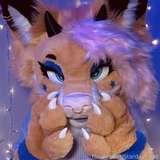 Stardust_pet