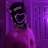 pup_haze