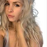 ocicat