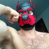 fitmusclepup