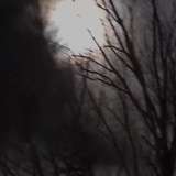 pegasus_adrienne