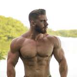 big_white_bull_free