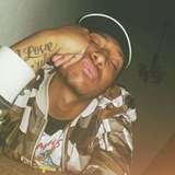 roygotfans
