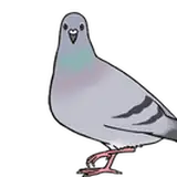 Bengugu