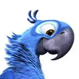 feather