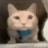 BreadLover