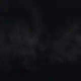 steponeonedesire