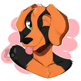 Benjithebeagle