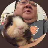 capybara_land
