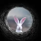 What is real?