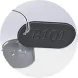 B101