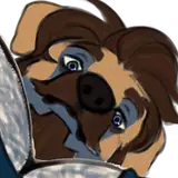 SharfKnows