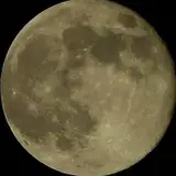 moonlive2d