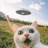 Verylix notme