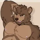 Boofthebear