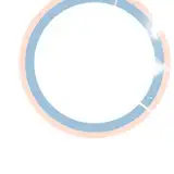 MaruCccO