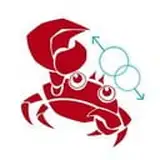 Crab