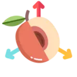 peech3D