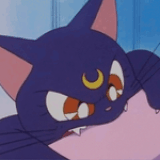 clov3r🌙