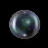 PopLi2000