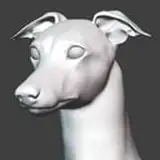 fancywhippet