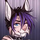 thecatnamedfish
