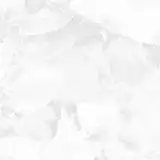 ぽむ
