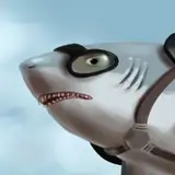 thesharkcage