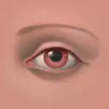 Sims41ife