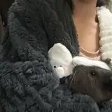 毎日しんどい