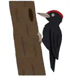クチバシ