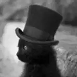 blackkitten