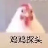 雞