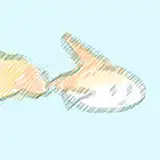 裏方
