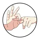 わるぷるぎす